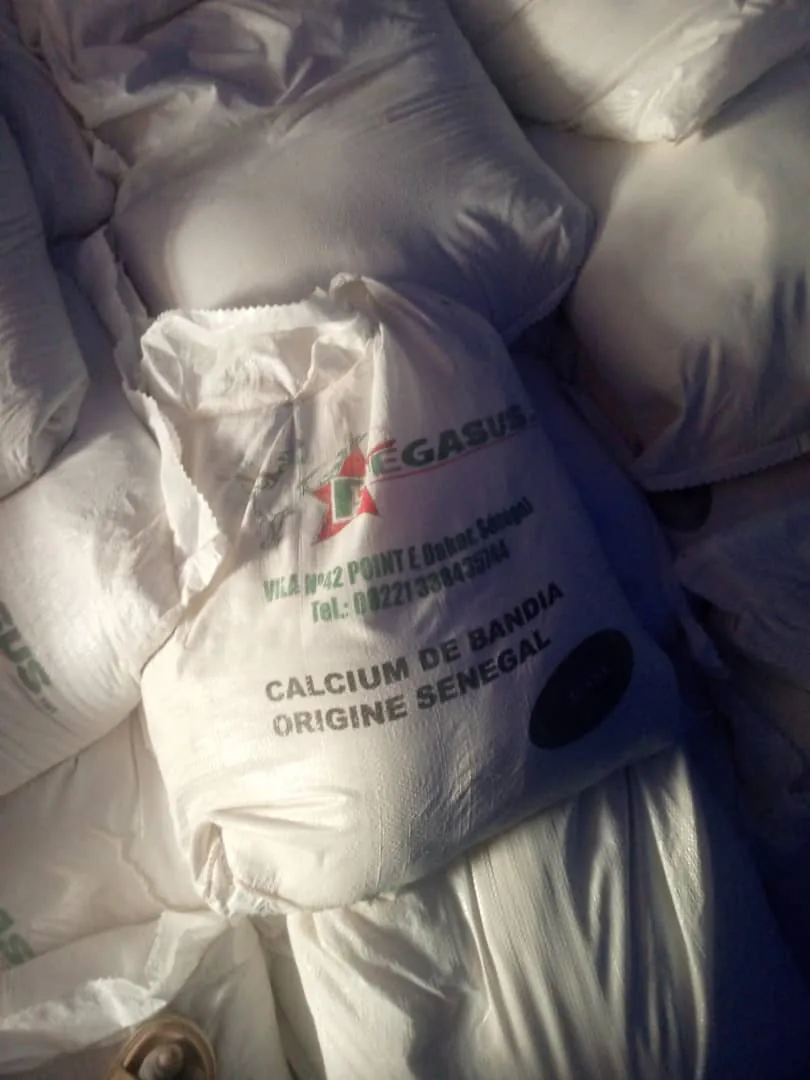 Sac de calcium de Bandia à la marque Pegasus.