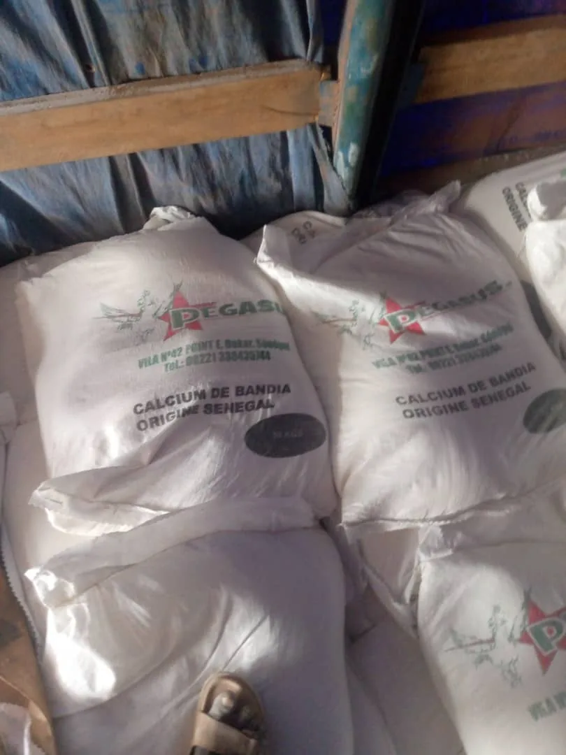 Sacs de calcium conditionnés dans un conteneur.