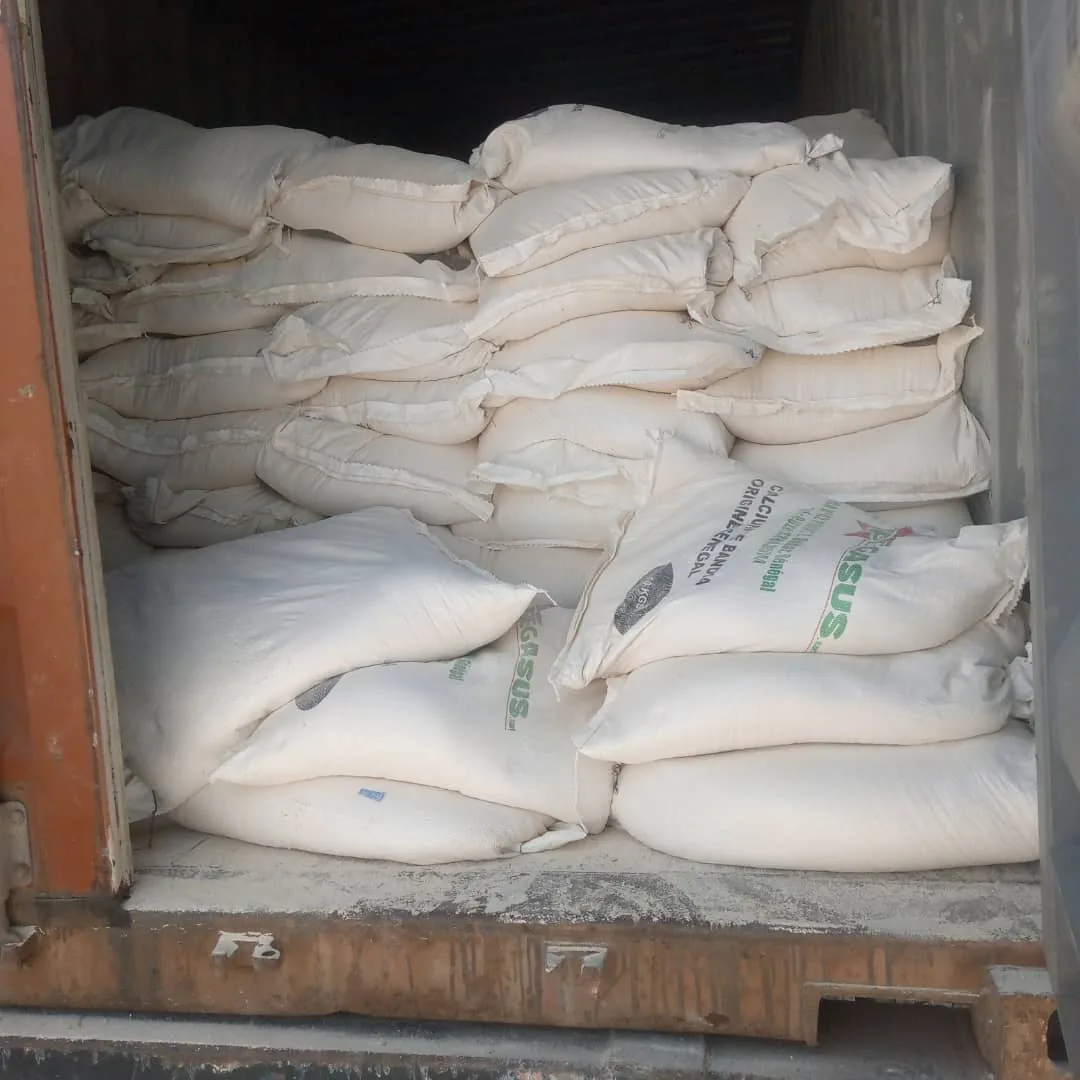 Sacs de calcium prêts au chargement.