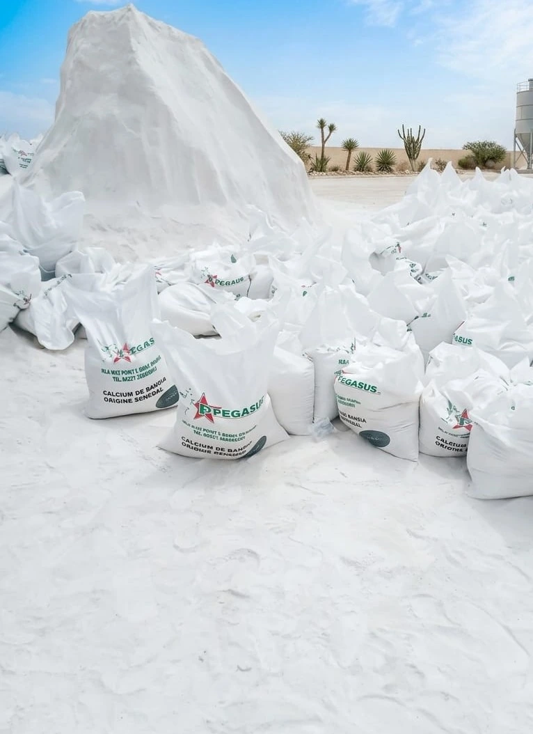 Sacs de calcium Pegasus sur le site de production.