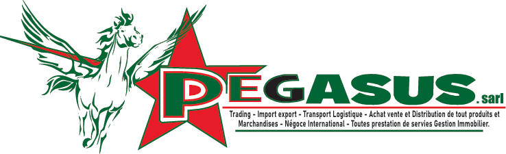Groupe Pegasus